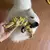 Brinquedo Interativo para Cães - Diversão e Cuidados para o Seu Pet ? - loja online