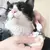Cortador de Unhas Profissional para Animais de Estimação - Cão e Gato em Aço Inoxidável - loja online