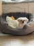 Cama Macia e Quente para Cães – Conforto e Aconchego para Seu Pet ? - loja online