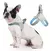 Peiteira Reflexiva para Cães de Estimação – Conforto, Segurança e Estilo para Seu Pet! - comprar online