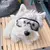 Óculos de Proteção para Pets – Segurança e Estilo para o Seu Melhor Amigo! - loja online