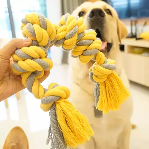 Brinquedo Interativo para Cães - Diversão e Cuidados para o Seu Pet ?