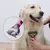 Pente Removedor de Pelos para Cães e Gatos – Escovação Profunda e Confortável! - PetPituxa Store