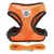 Peitoral para Gatos – Conforto e Segurança para Passeios Incríveis! - PetPituxa Store