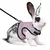 Conforto e Estilo para Seu Pet com o [Nome do Produto] - Colete e Saco de Transporte para Animais de Estimação!