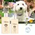Shampoo Pet – Limpeza e Hidratação para uma Pelagem Saudável! na internet