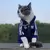 Imagem do Roupa para gatos, marca de moda Pet, outono e inverno