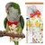 Terno Fralda para Papagaio e Outras Aves – Conforto e Higiene para o Seu Pássaro! ?? - comprar online