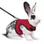 Conforto e Estilo para Seu Pet com o [Nome do Produto] - Colete e Saco de Transporte para Animais de Estimação! - comprar online