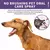 Spray de Limpeza Oral para Cães e Gatos – Hálito Fresco e Dentes Saudáve - comprar online