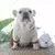 Saia Pet Confortável Primavera Verão para Cães - comprar online