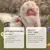 Balsamo Natural para Cães e Gatos – Proteção e Hidratação para as Patas do Seu Cão - comprar online