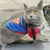 Moletom Divertido para Pets – Conforto e Estilo para Seu Gato ou Cachorro! ?? - comprar online