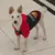 Moletom Divertido para Pets – Conforto e Estilo para Seu Gato ou Cachorro! ?? na internet