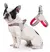 Peiteira Reflexiva para Cães de Estimação – Conforto, Segurança e Estilo para Seu Pet! na internet