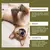 Balsamo Natural para Cães e Gatos – Proteção e Hidratação para as Patas do Seu Cão - loja online