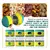 Brinquedo Interativo para Cães e Gatos – A Melhor Forma de Diversão e Alimentação Saudável!