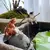 Adicione Estilo e Charme ao Seu Aquário com a Estátua de Gato para Decoração de Tanque de Peixes - loja online