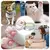 Creme Protetor para Cães e Gatos – Hidratação e Proteção para Patinhas e - PetPituxa Store