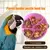 Caixa de Comida Rotativa para Papagaio – Diversão e Alimentação Inteligente para Seu Pet! ???