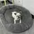 Cama Macia e Quente para Cães – Conforto e Aconchego para Seu Pet ? - PetPituxa Store