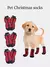 Meias Térmicas de Natal para Animais de Estimação - Conforto e Estilo para Seu Pet! ??