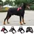 Imagem do Peiteira Ajustável para Cães – Conforto, Segurança e Estilo para Seu Pet!