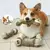 Brinquedo para Animais de Estimação – Corda de Algodão, Tênis Haltere e Rubberto: Diversão e Saúde para o Seu Pet! - loja online