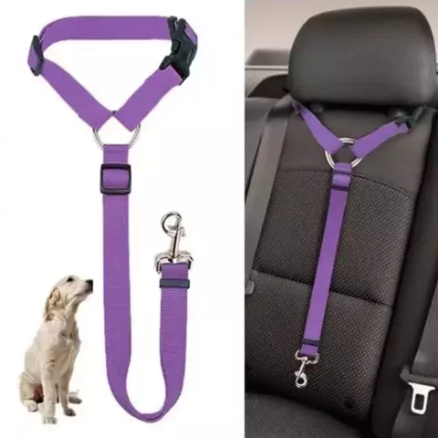 Cinto de Segurança para Cães – Segurança e Conforto nas Viagens!