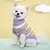 Camisola de malha para cães pequenos, gatos casaco, roupas para animais de estilo - comprar online