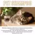 Shampoo Pet – Limpeza e Hidratação para uma Pelagem Saudável! - comprar online
