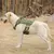 Conjunto de Arnês e Trela Militar para Cães Grandes – Segurança, Conforto e Estilo para seu Pet! na internet