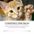 Imagem do Balsamo Natural para Cães e Gatos – Proteção e Hidratação para as Patas do Seu Cão