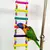 Brinquedo para Pássaros Papagaio – Escadas Coloridas para Gaiola | Diversão, Estímulo e Conforto para Seu Amigo de Penas! na internet