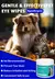 Toalhetes de Limpeza para Animais de Estimação – Higiene e Cuidado em Qualquer Momento! ??? - PetPituxa Store