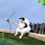 Pesca de Gatinho | Decoração para Tanque de Peixes Pequenos e Paisagismo Aq