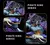Action Figure Kaido, Rei das Feras Man-Beast Form Original - Anime One Piece Wano, Colecionável na internet