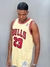 Regata NBA Bulls