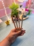 Caneta Sensations