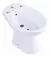 Bidet Italiana en internet