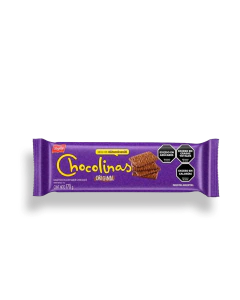 Galletitas Chocolinas 170g
