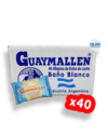 Alfajor Guaymayen simple x40 - comprar online