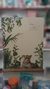 Cuaderno 70 Hojas Rayadas N°4 Ledesma