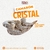 Camarón Cristal 21 -25