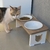 Suporte Comedouro Bebedouro Elevado DUPLO GATO Pet MDF