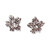 Aretes Amazonia en internet