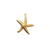 Estrella de Mar