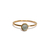 Anillo Rhonda en internet
