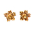 Aretes Amazonia - comprar en línea