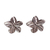 Aretes Flora en internet